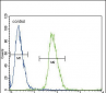 ADH4 Antibody (C-term)